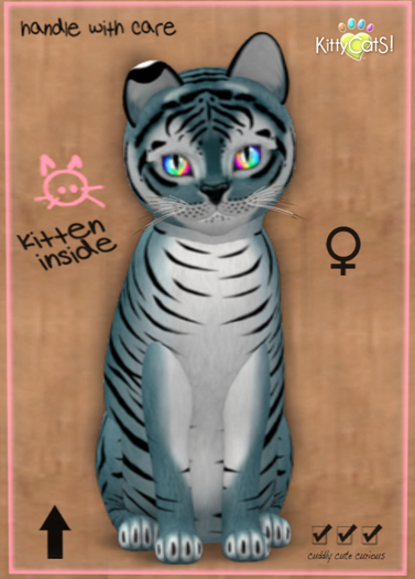 New Born Kitten-Tiger! - Dusky Blue 9T