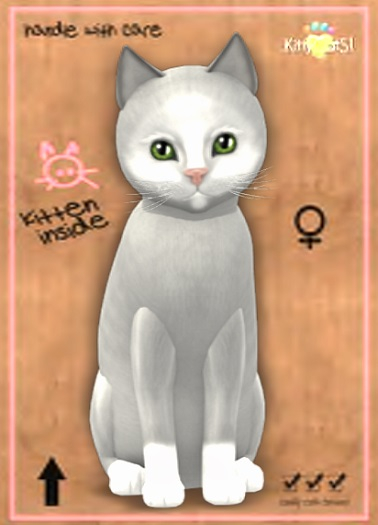 MEGAPUSS: KittyCatS Box - Genesis - Diamond III - MegaPuss