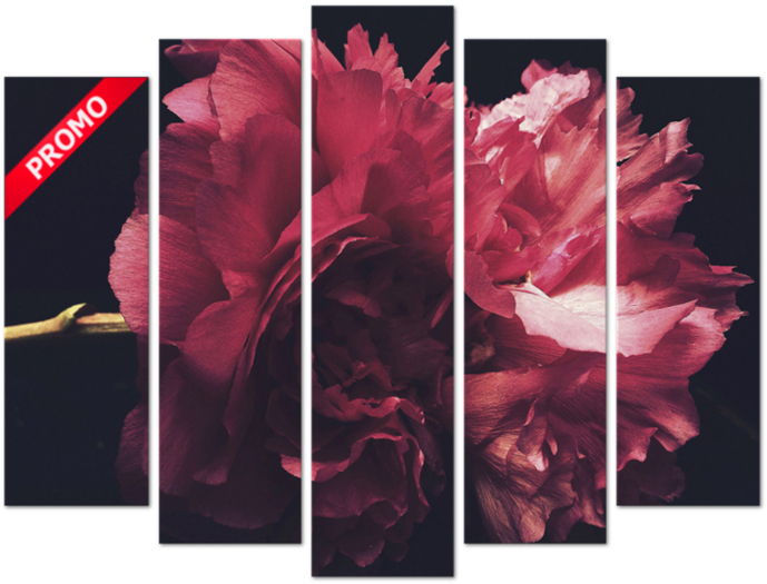 Flower Wall Art