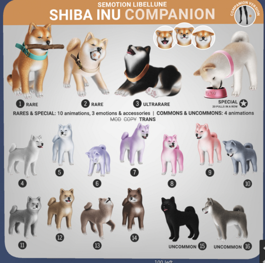 SEmotion Libellune Shiba Inu Companion COMMON 13