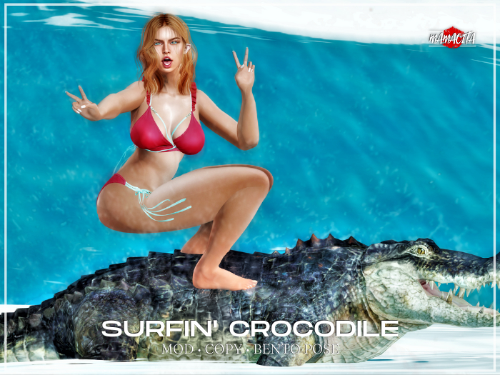 Surfing Pose + Crocodile