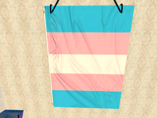 Trans Banner