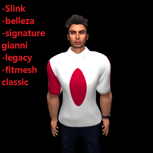  JAPAN MESH POLO MEN'S T -SHIRT