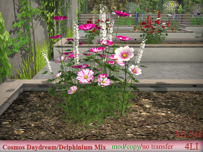 Cosmos Daydream/Delphinium Mix