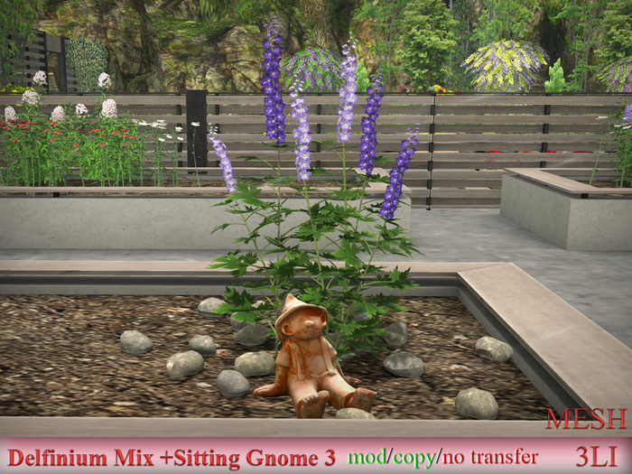 Delfinium Mix +Sitting Gnome 3