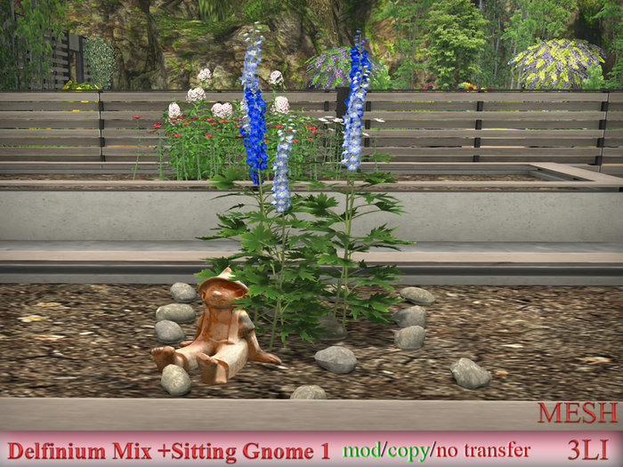 Delfinium Mix +Sitting Gnome 1