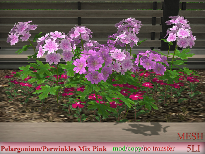 ED Pelargonium/Perwinkles Mix Pink boxed