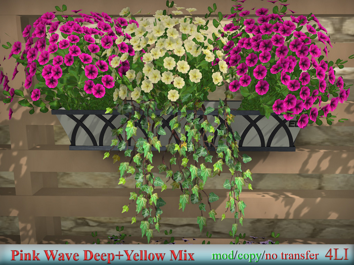  Petunia Pink Wave Deep+Yellow Mix