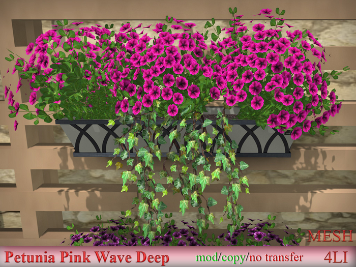 Petunia Pink Wave Deep
