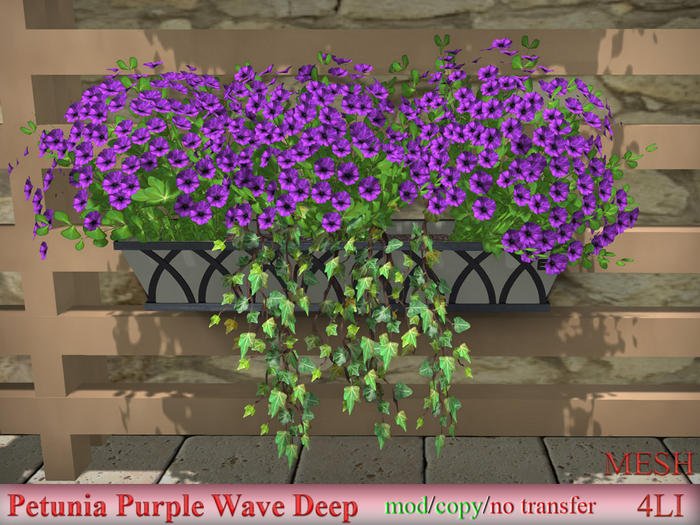 Petunia Purple Wave Deep