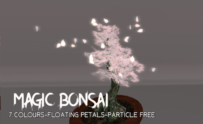 G&D Magic Bonsai free sample *