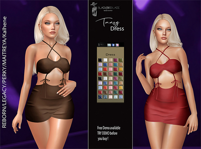 Tansy Dress By Blackbird Lace