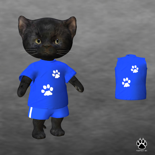 [Panthar, Inc.] Sport Set  Blue