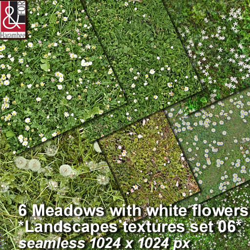 #06 - 6 Meadows white flowers