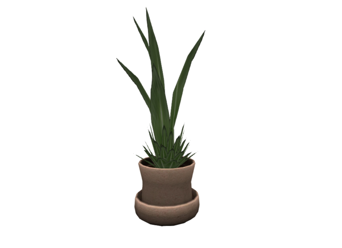 Indoor Potted Plant Sharp Leaves  2 Li - Resizable