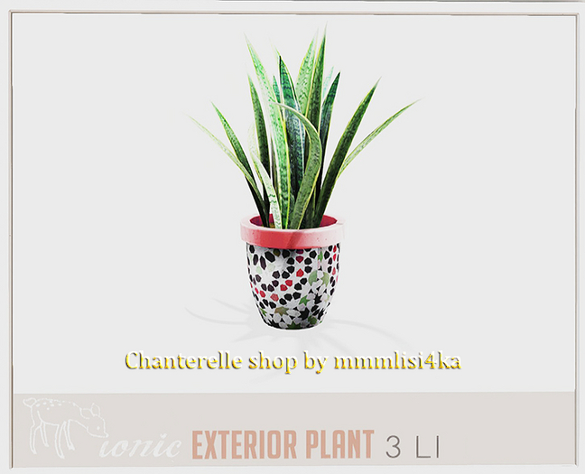 4 ionic :  Exterior plant