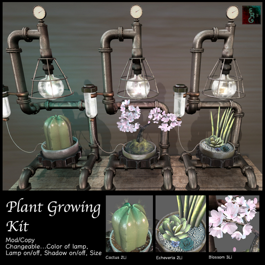 (:ERG:)Plant Growing Kit