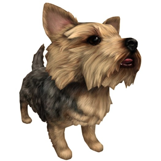 JIAN Pupper Parlor 13. Silver Wanderer BOX