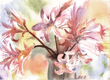 'Lilies 1' by Nina Camplin