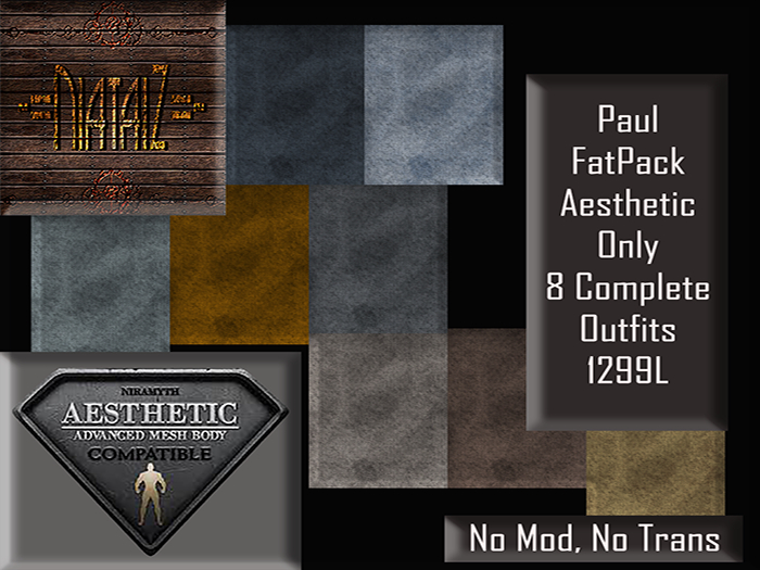 PAUL Outfit AESTHETIC FATPACK