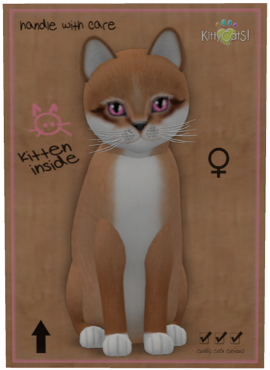 KittyCatS Box - Foxie - Auburn