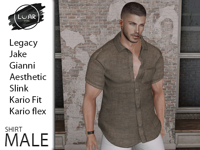 LuaR Erik Brown Male Shirt (Add)