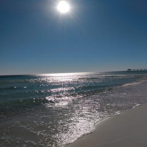 WoW Sun Shine FLORIDA