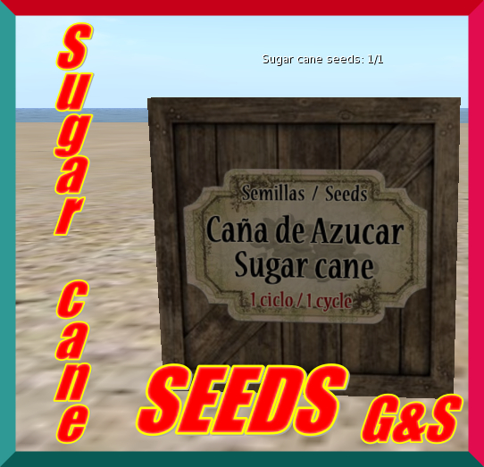 Sugar cane Seeds / Semillias de azucar [G&S]