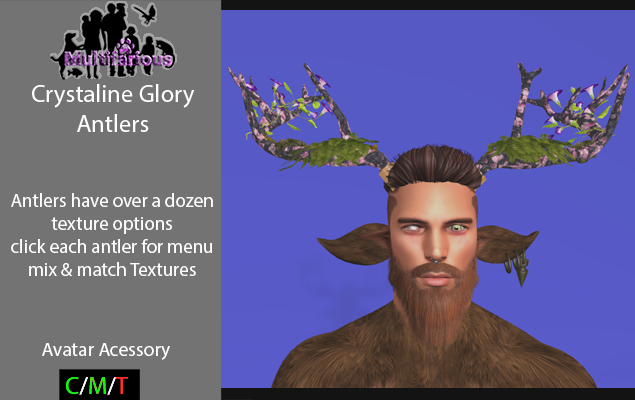 *M* Crystaline Glory Antlers