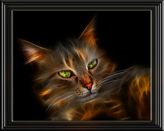 FireCat Artwork framed