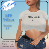 _Destiny_ BFF Trouble 1 & 2 T