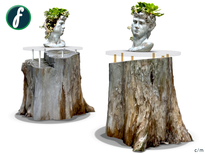 friller Succulent Plant Bust