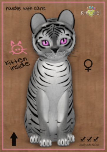 9T Tiger! Shadow - Gerbera Pink