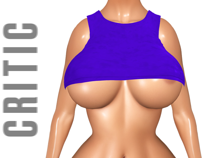 !CRITIC Steff Crop - Blue
