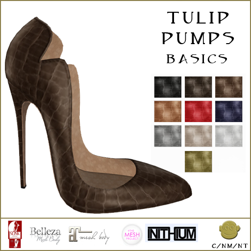 BM Tulip Basics DEMO