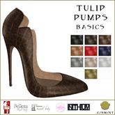BM Tulip Basics