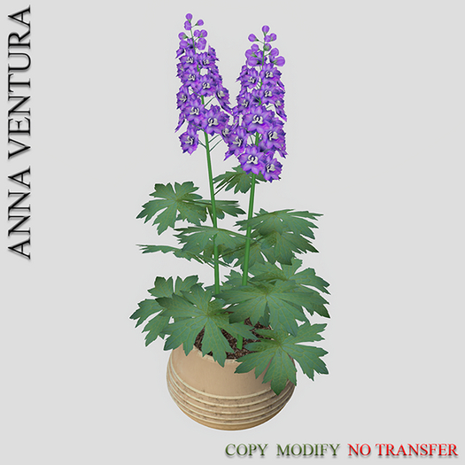 A.V _Potted Plant  __ Delphinium_07