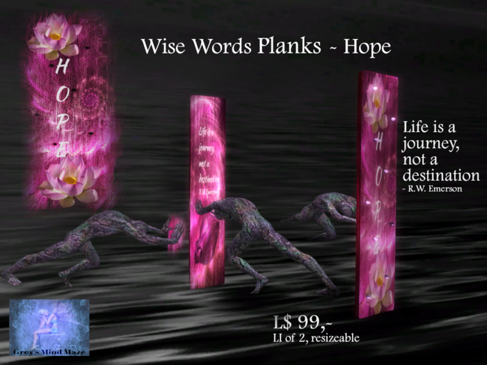 Grey's Wise words Plank - Hope 