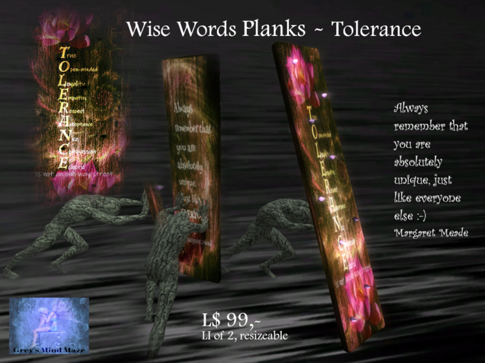 Grey's Wise words Plank - Tolerance 