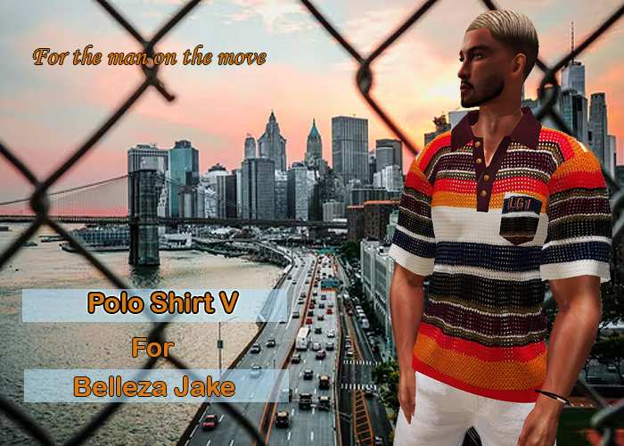 Polo Shirt V