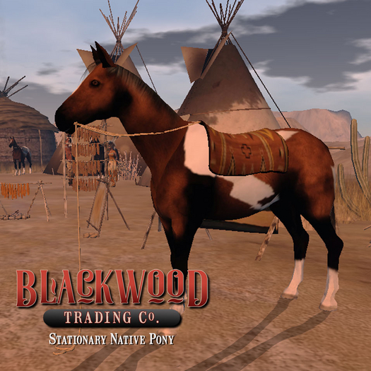 [Timber Creek] Native Pony-Bay Pinto