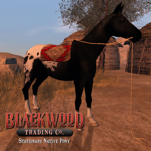 [Timber Creek] Native Pony-Black Appaloosa