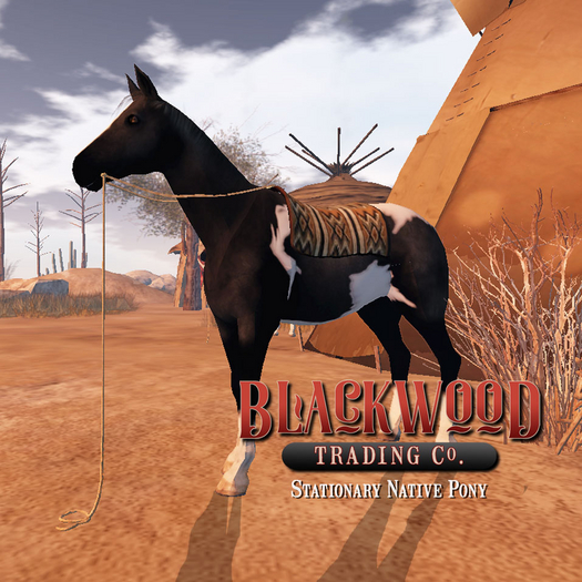[Timber Creek] Native Pony-Black Pinto