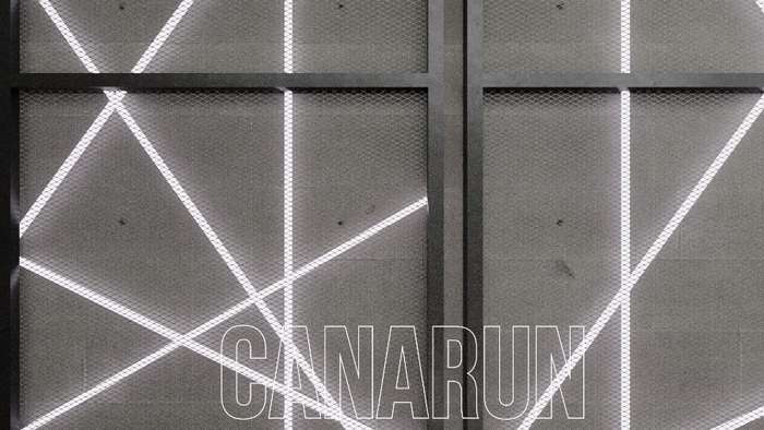 Wire Wall - CANARUN & 100 Mesh