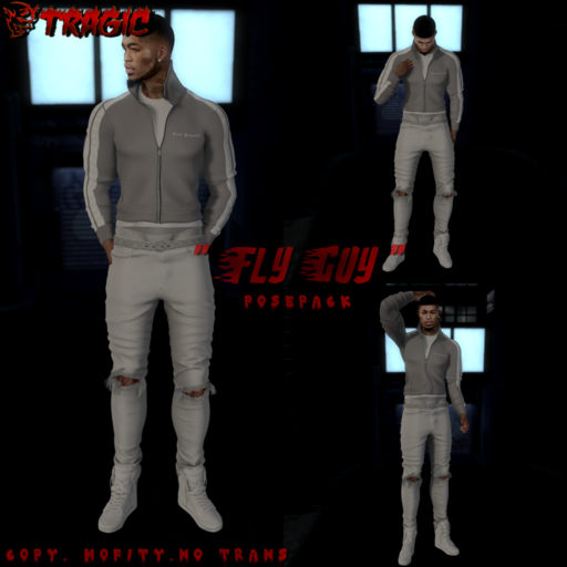 //Tragic// Fly Guy