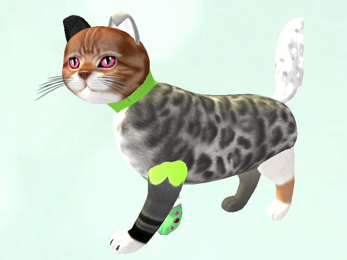 KittyCatS Box - ApRiliSh nO. 032014052524719260554085400017