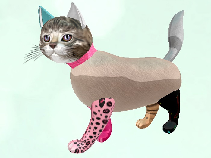 KittyCatS Box - ApRiliSh nO. 140149621251132453575719343070