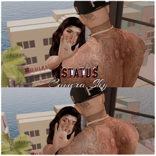 STATUS ~ Camera Shy