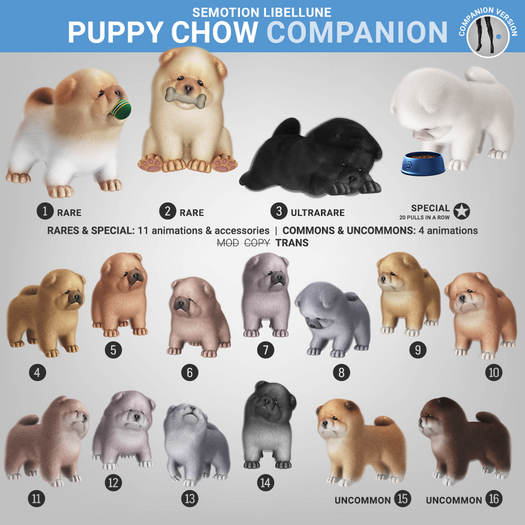 SEmotion Libellune Puppy Chow Companion COMMON 04