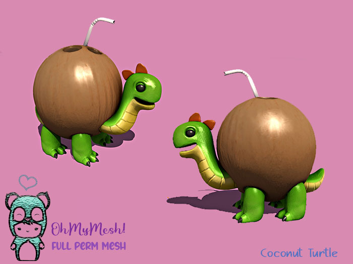 OhMyMesh! Coconut Turtle  - Full Perm Mesh